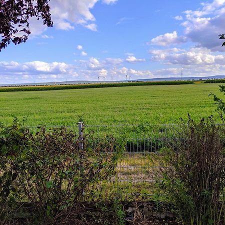 Grosse Schoenheit Mit Panoramablick Euskirchen Kültér fotó
